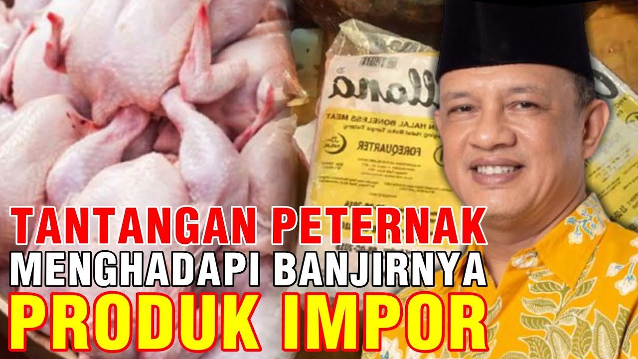 
                                 Tantangan-Peternak-Menghadapi-Banjirnya-Produk-Impor